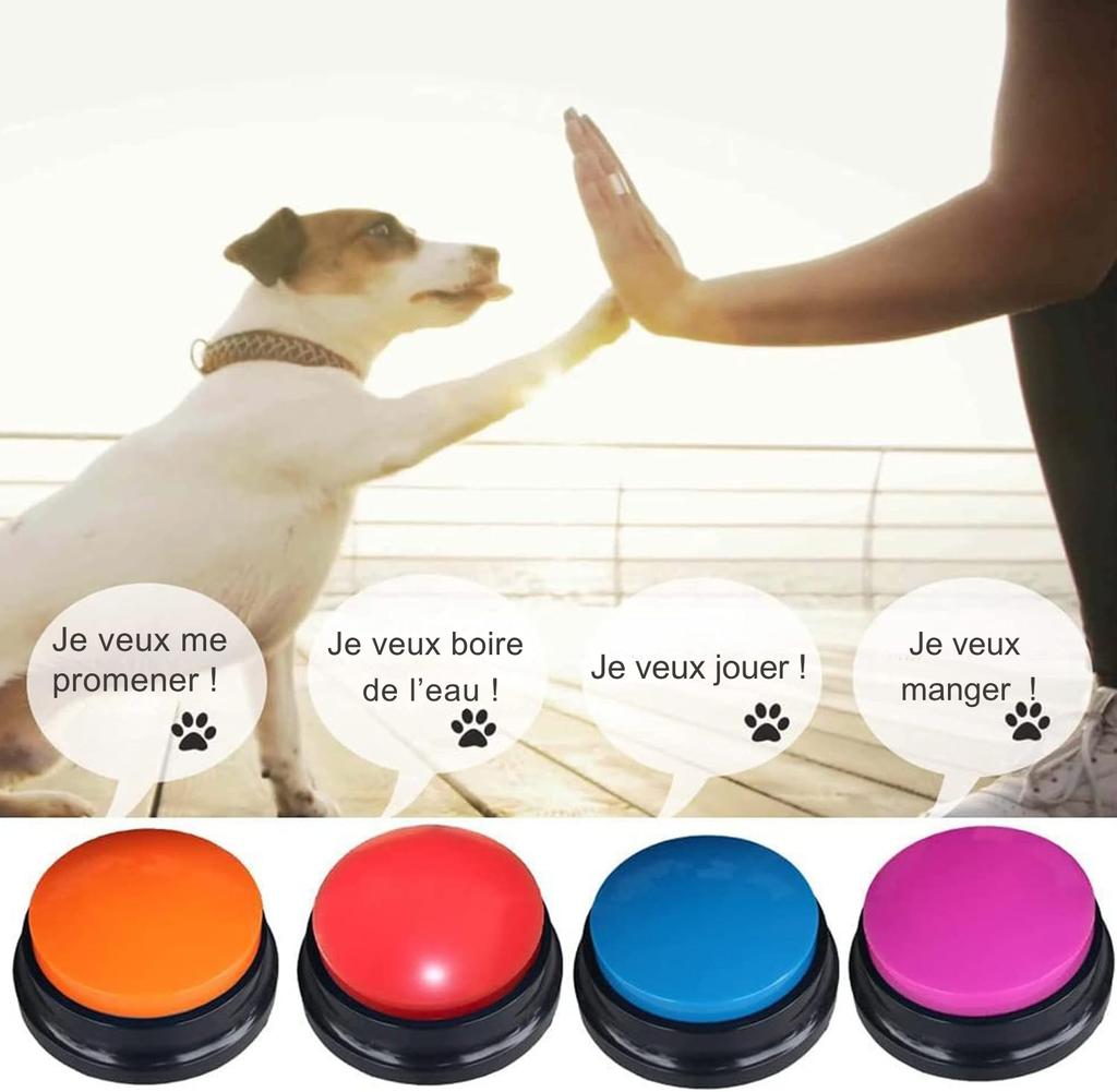 Bouton d’apprentissage interactif pour chien