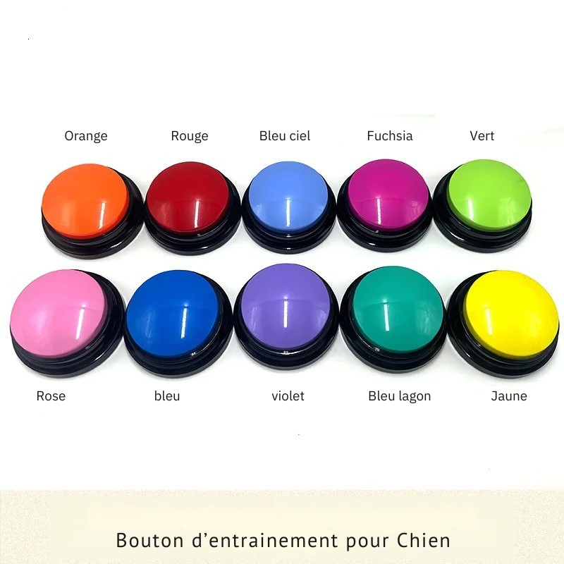 Bouton d’apprentissage interactif pour chien