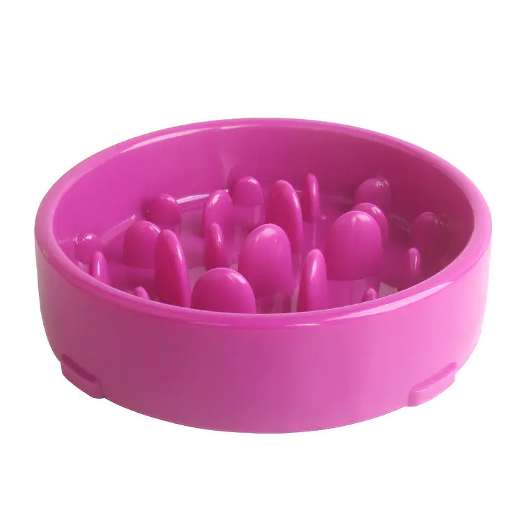 Gamelle Anti-Glouton